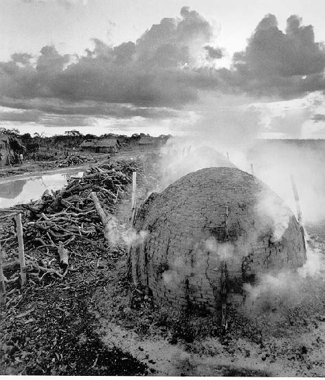 traditional beehive kiln