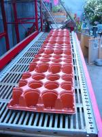 Empty Planting Trays on Rack