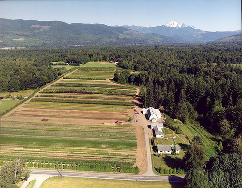 Aerial View of Fourth Corner Nurseries