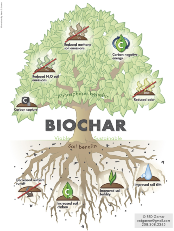 Biochar Tree